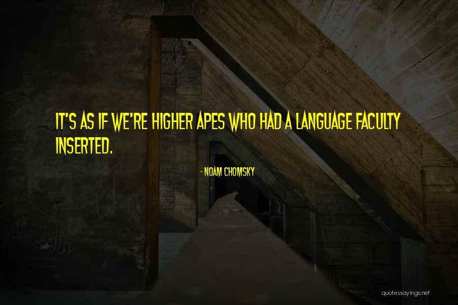 Acordaram Quotes By Noam Chomsky Acordaram Quotes By Noam Chomsky