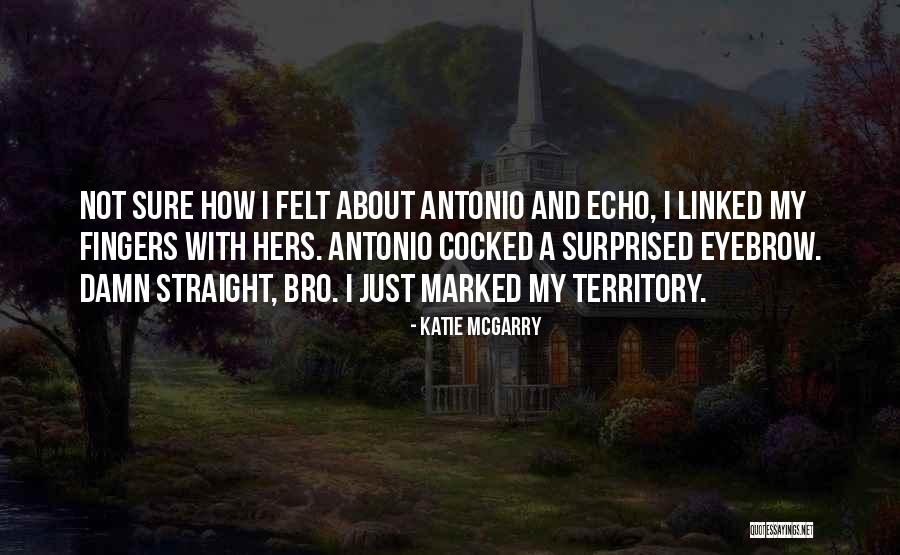 Acordeones En Quotes By Katie McGarry Acordeones En Quotes By Katie McGarry