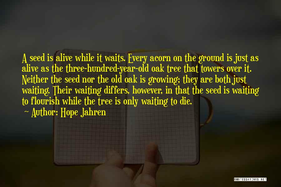 Acorn And Oak Tree Quotes By Hope Jahren