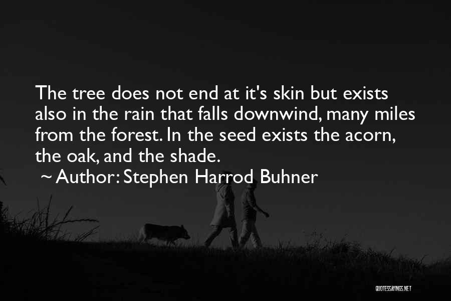 Acorn And Oak Tree Quotes By Stephen Harrod Buhner