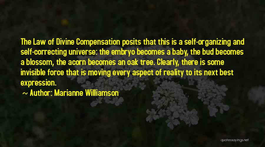 Acorn Quotes By Marianne Williamson