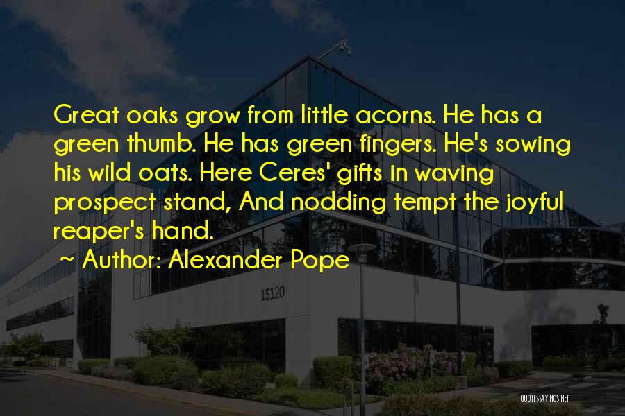 Acorns To Oaks Quotes By Alexander Pope