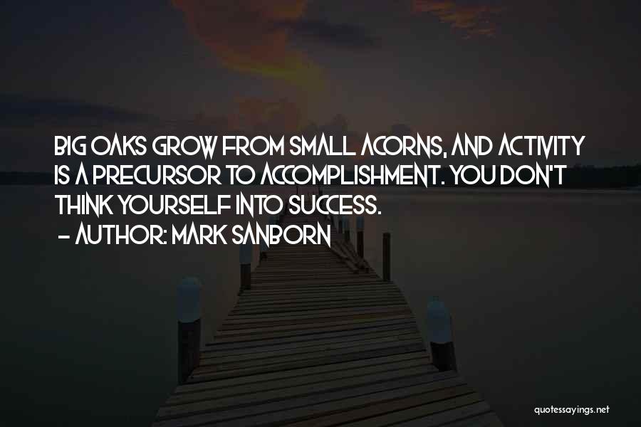 Acorns To Oaks Quotes By Mark Sanborn