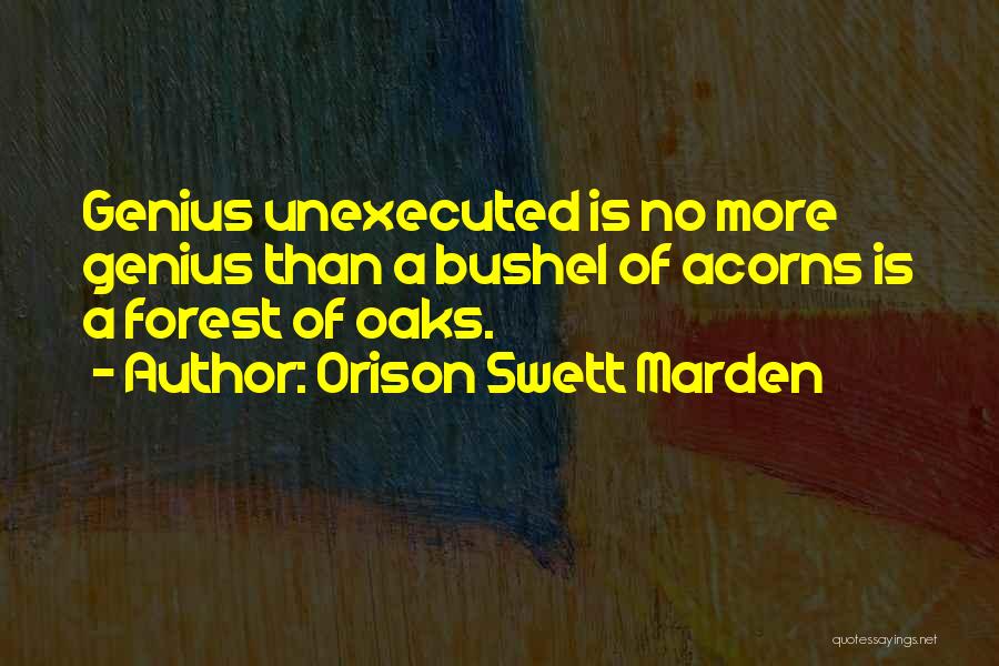 Acorns To Oaks Quotes By Orison Swett Marden