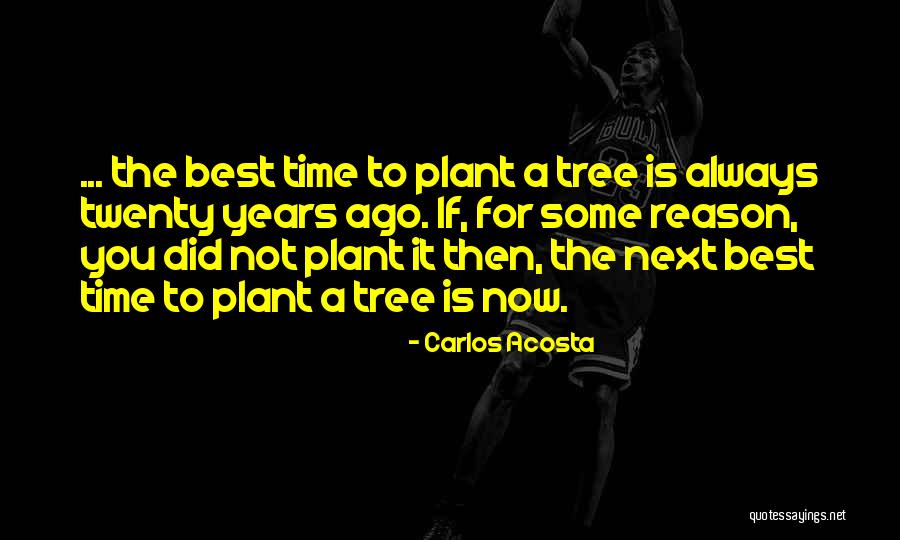 Acosta Quotes By Carlos Acosta Acosta Quotes By Carlos Acosta