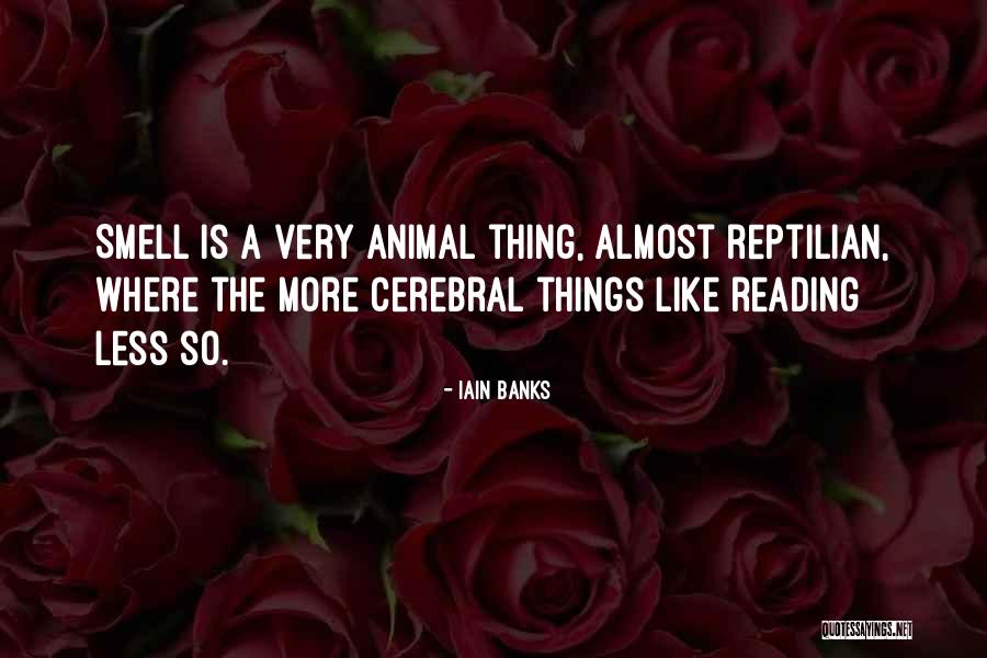 Acostumbrando Quotes By Iain Banks Acostumbrando Quotes By Iain Banks