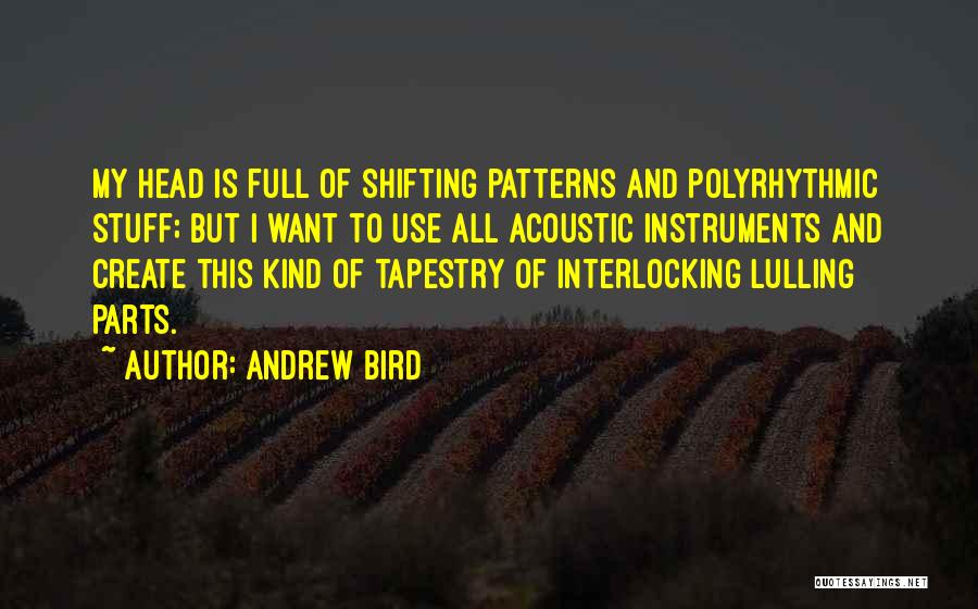 Acoustic Quotes By Andrew Bird