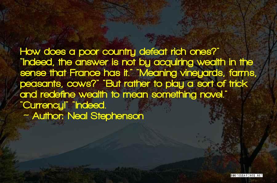 Acquiring Wealth Quotes By Neal Stephenson