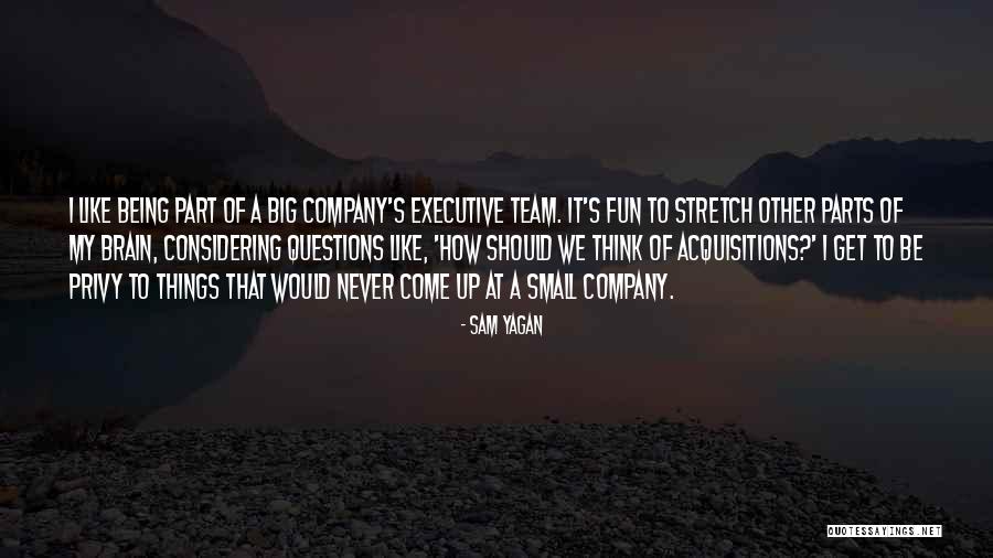 Acquisitions Quotes By Sam Yagan