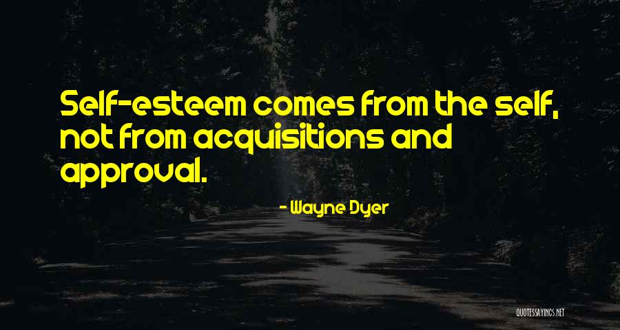 Acquisitions Quotes By Wayne Dyer