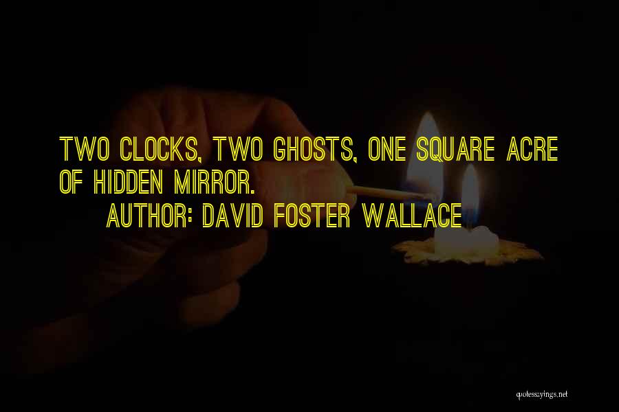 Acre Quotes By David Foster Wallace