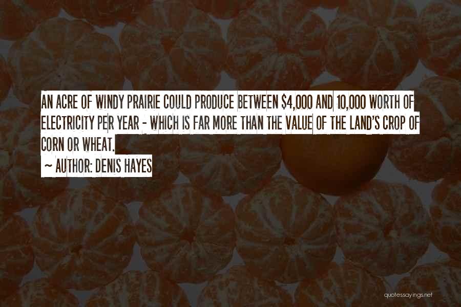 Acre Quotes By Denis Hayes