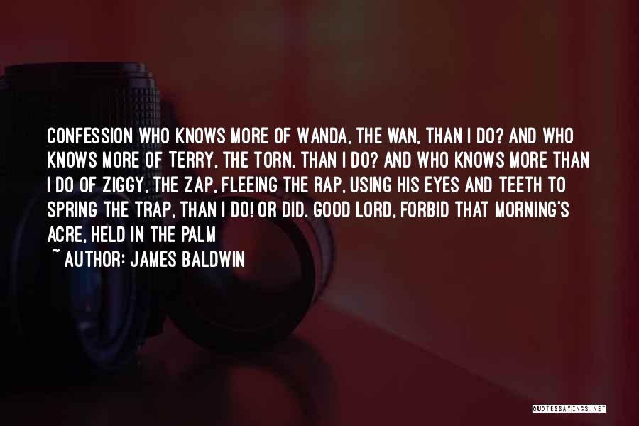 Acre Quotes By James Baldwin