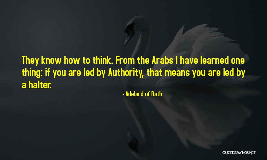 Acreditar Quotes By Adelard Of Bath Acreditar Quotes By Adelard Of Bath