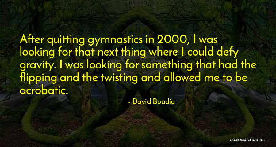 Acrobatic Quotes By David Boudia Acrobatic Quotes By David Boudia