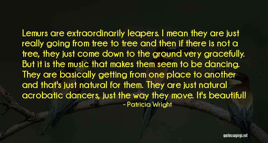 Acrobatic Quotes By Patricia Wright Acrobatic Quotes By Patricia Wright