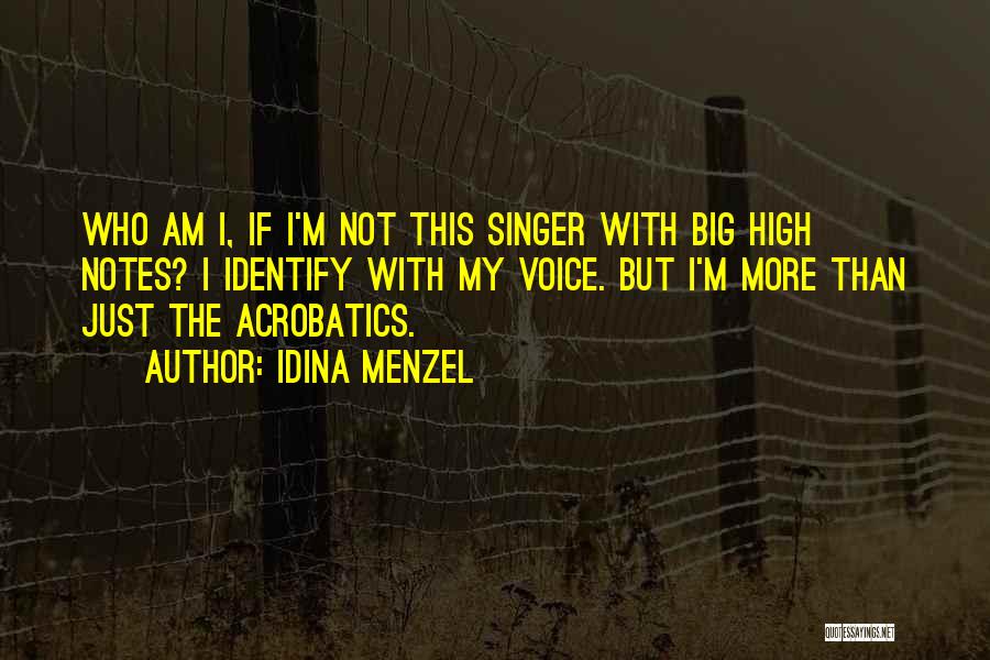 Acrobatics Quotes By Idina Menzel
