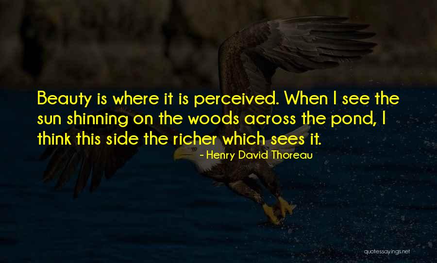 Across The Pond Quotes By Henry David Thoreau