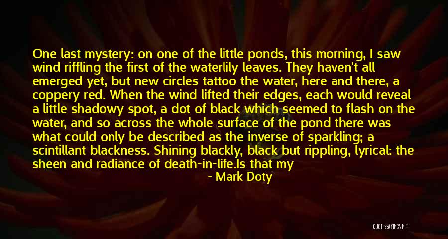 Across The Pond Quotes By Mark Doty