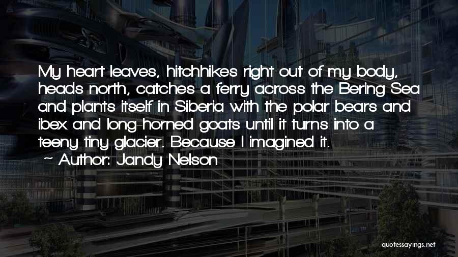 Across The Sea Quotes By Jandy Nelson