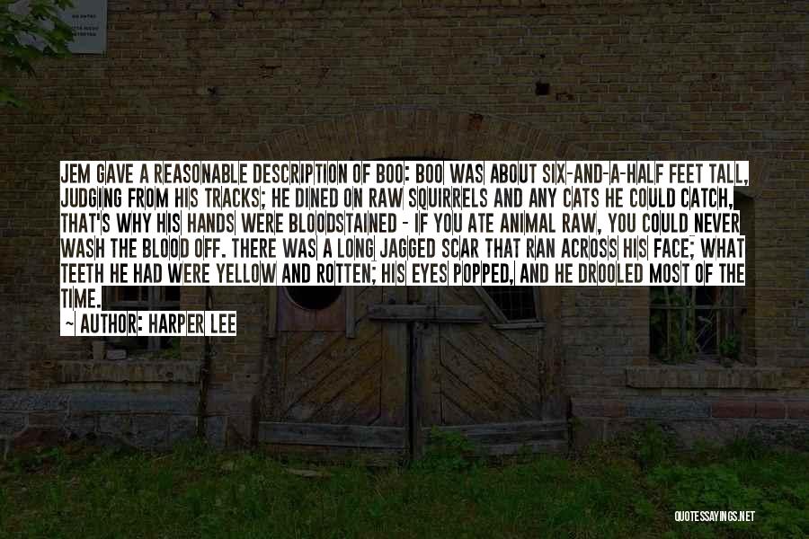 Across The Tracks Quotes By Harper Lee
