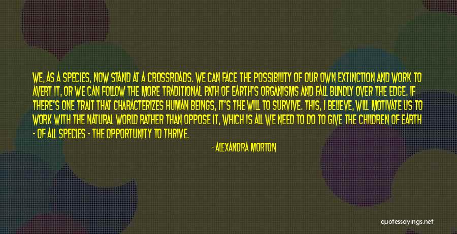 Acrost Quotes By Alexandra Morton Acrost Quotes By Alexandra Morton