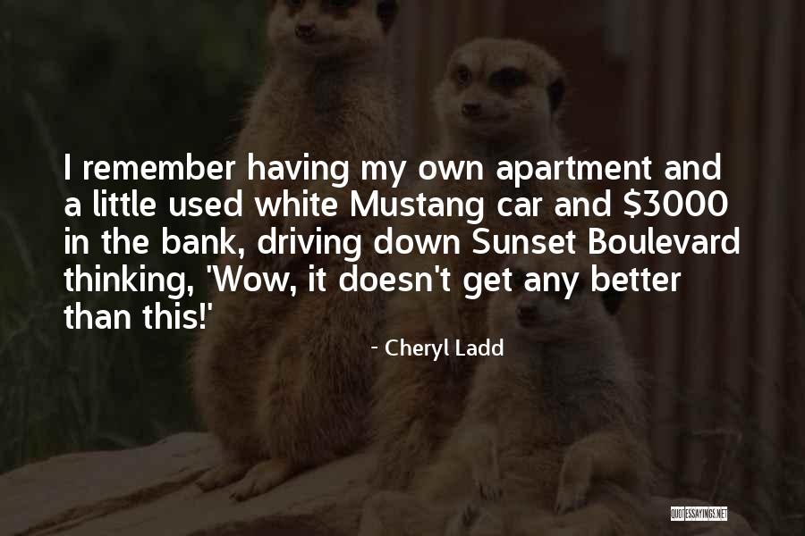 Acrylics Painting Quotes By Cheryl Ladd Acrylics Painting Quotes By Cheryl Ladd