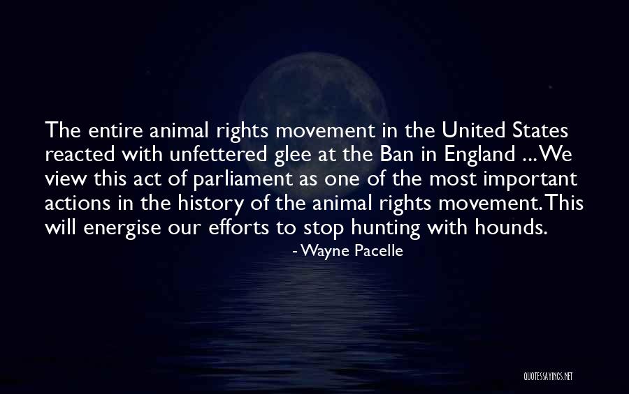 Act Most Important Quotes By Wayne Pacelle Act Most Important Quotes By Wayne Pacelle