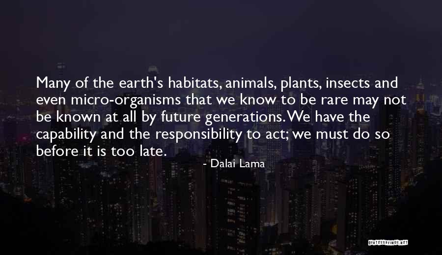 Act Now Before It's Too Late Quotes By Dalai Lama