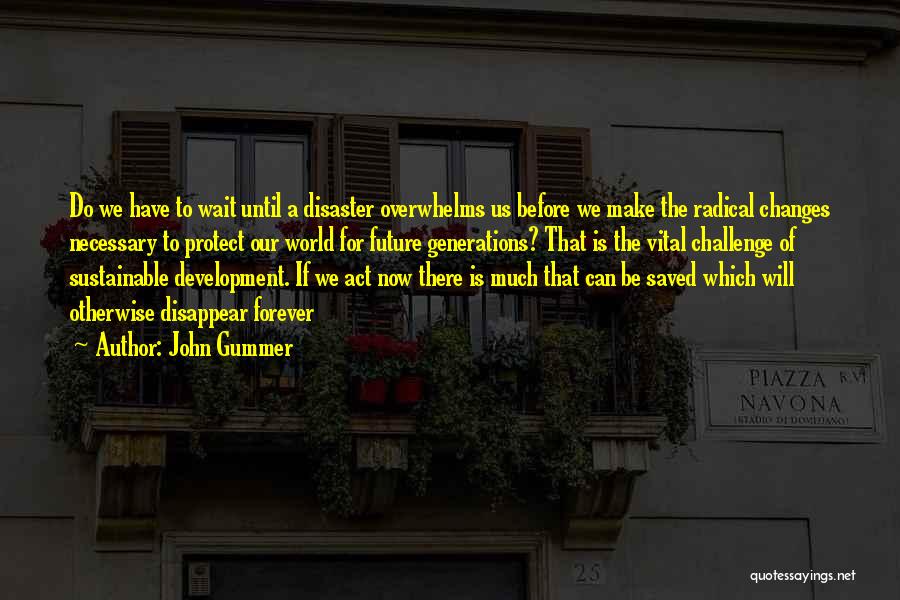 Act Now Quotes By John Gummer