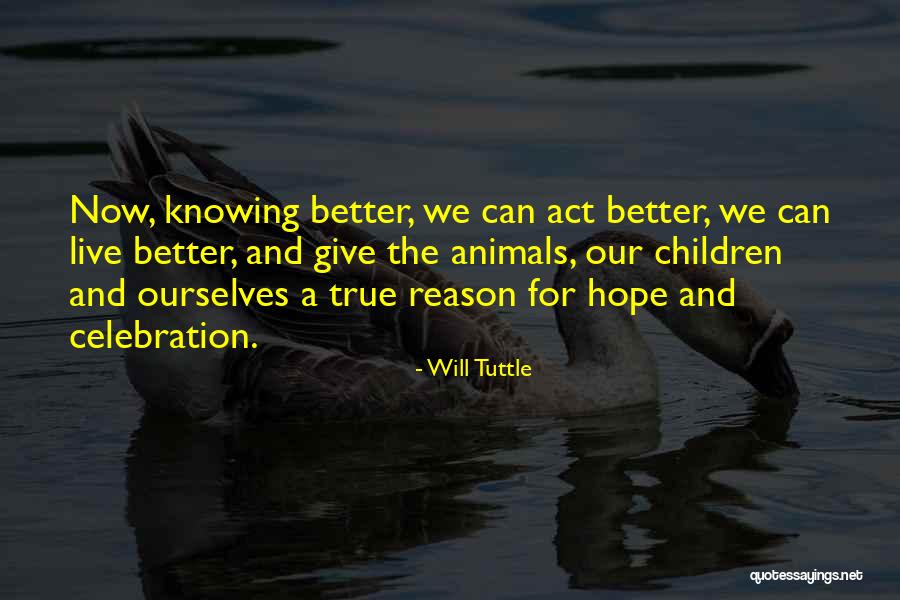 Act Now Quotes By Will Tuttle Act Now Quotes By Will Tuttle
