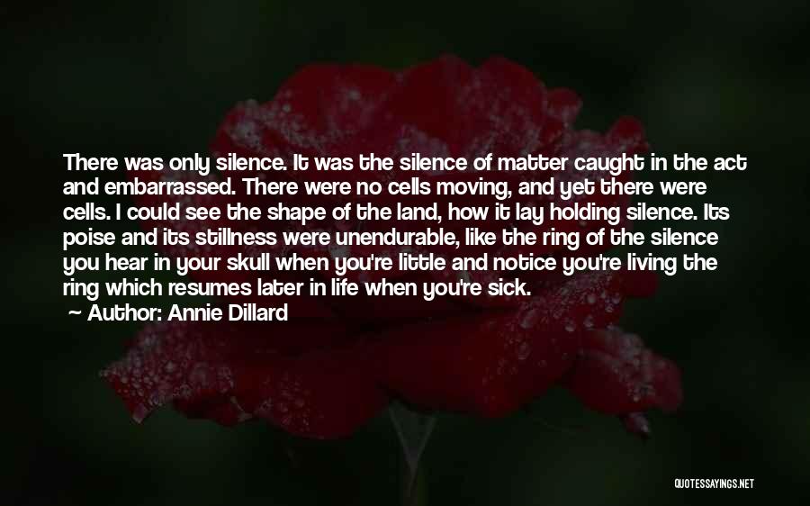 Act Now Think Later Quotes By Annie Dillard