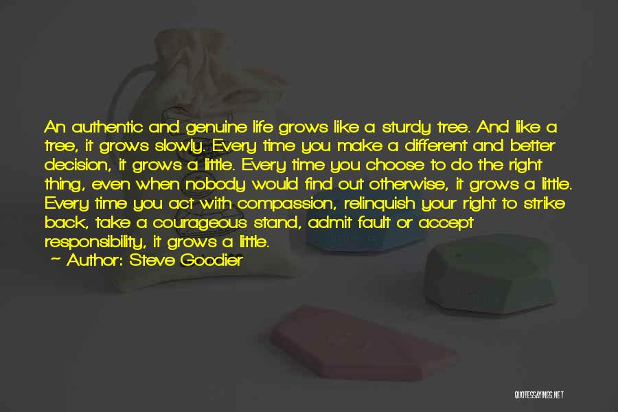 Act Or Accept Quotes By Steve Goodier