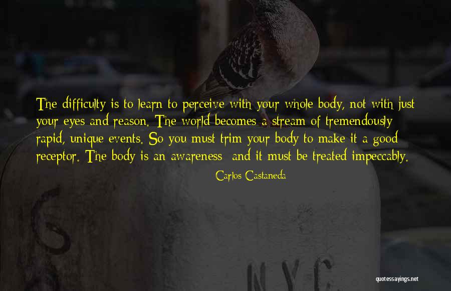 Actaeon Consulting Quotes By Carlos Castaneda Actaeon Consulting Quotes By Carlos Castaneda