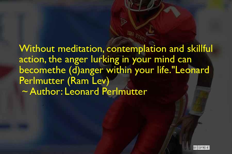Action And Contemplation Quotes By Leonard Perlmutter