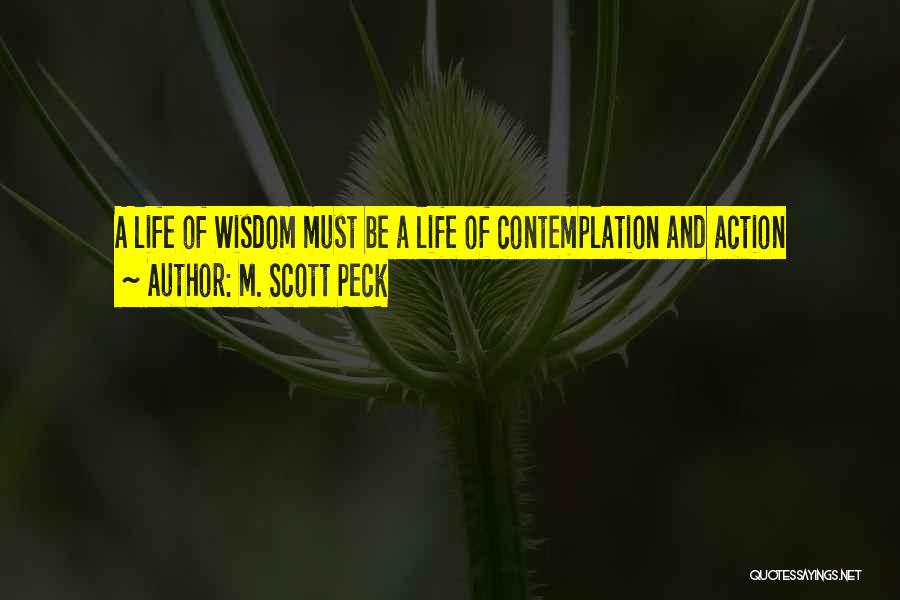 Action And Contemplation Quotes By M. Scott Peck