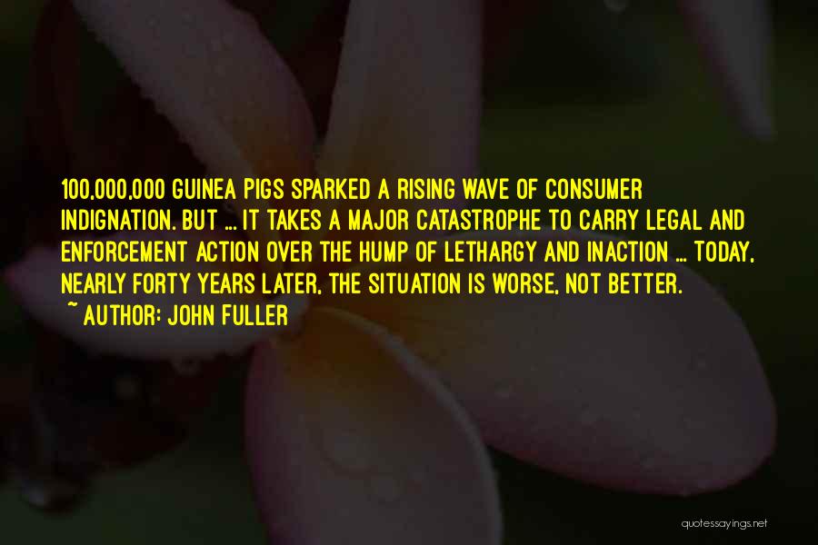 Action And Inaction Quotes By John Fuller