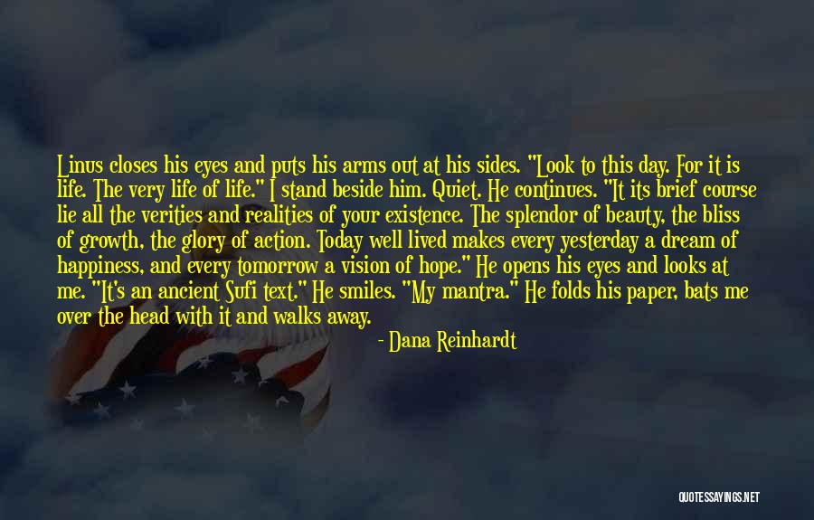 Action And Vision Quotes By Dana Reinhardt