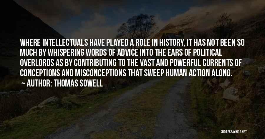 Action And Words Quotes By Thomas Sowell