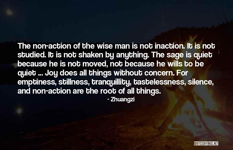 Action Inaction Quotes By Zhuangzi Action Inaction Quotes By Zhuangzi