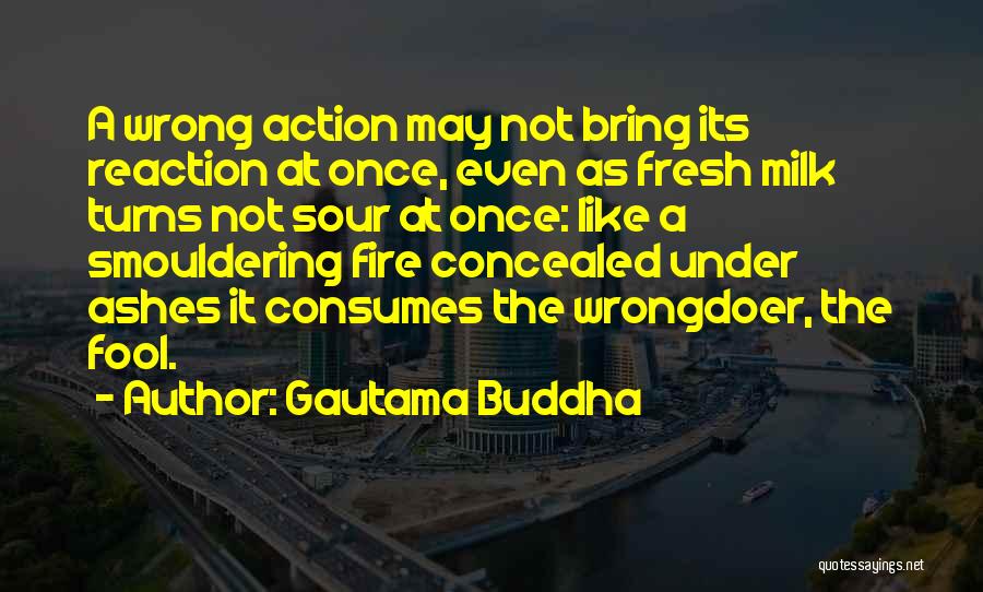 Action Not Reaction Quotes By Gautama Buddha