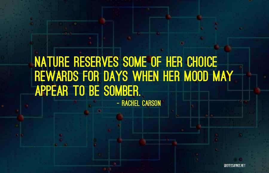 Action Store Quotes By Rachel Carson Action Store Quotes By Rachel Carson