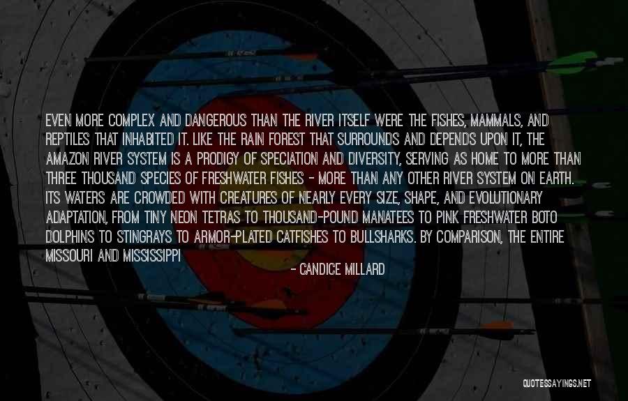 Actionize Steel Quotes By Candice Millard Actionize Steel Quotes By Candice Millard