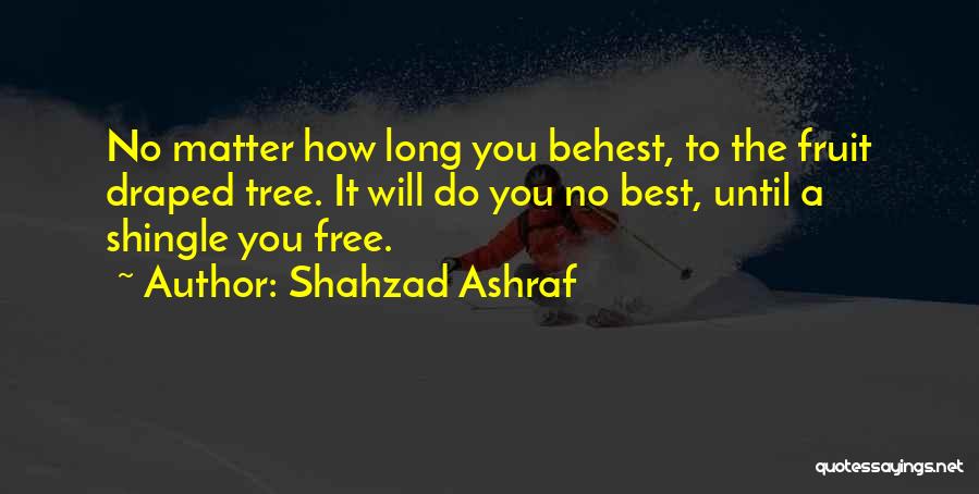 Actions Over Words Quotes By Shahzad Ashraf