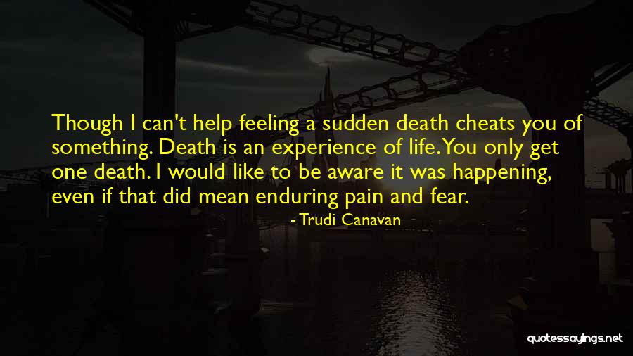Active Evil Quotes By Trudi Canavan Active Evil Quotes By Trudi Canavan