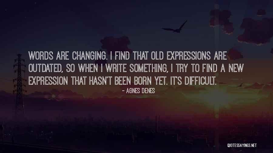 Activista Ambiental Quotes By Agnes Denes Activista Ambiental Quotes By Agnes Denes