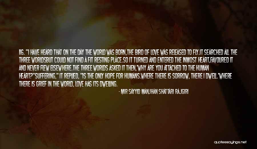 Actores Colombianos Quotes By Mir Sayyid Manjhan Shattari Rajgiri Actores Colombianos Quotes By Mir Sayyid Manjhan Shattari Rajgiri