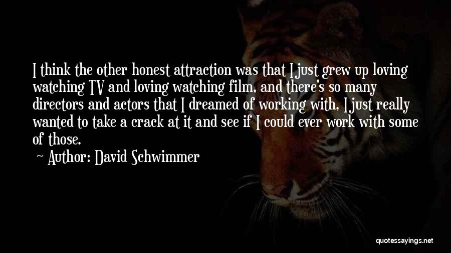 Actors And Directors Quotes By David Schwimmer