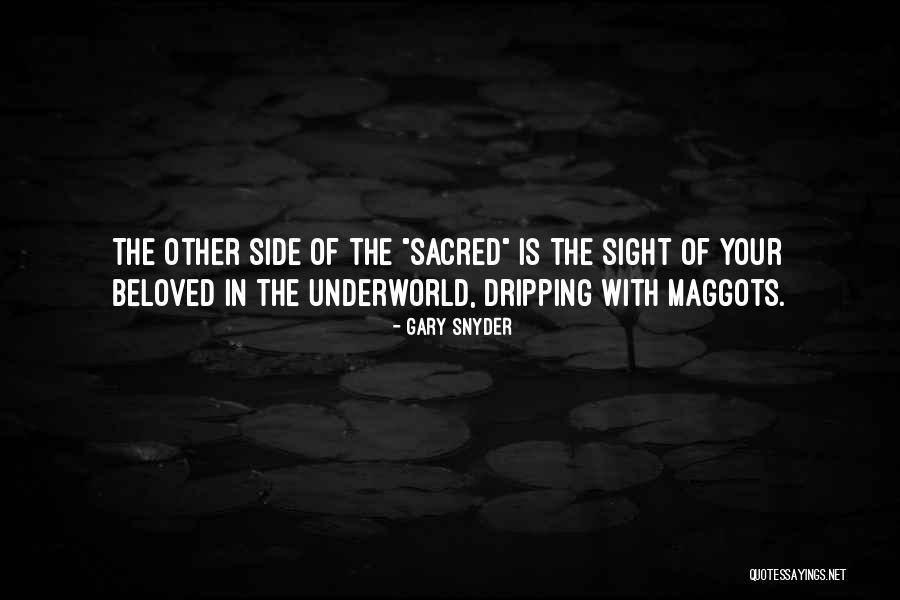 Actualisation Pole Quotes By Gary Snyder Actualisation Pole Quotes By Gary Snyder
