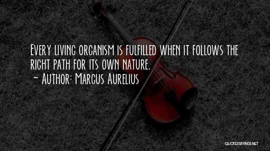 Actualization Quotes By Marcus Aurelius